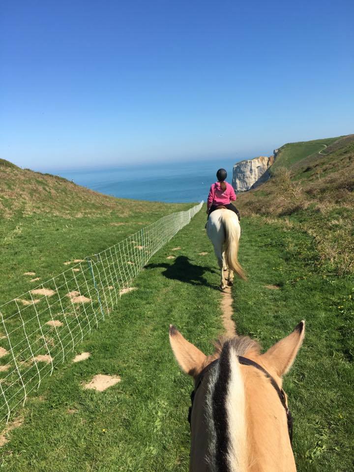 Domaine Équestre Étretat - Le Tilleul