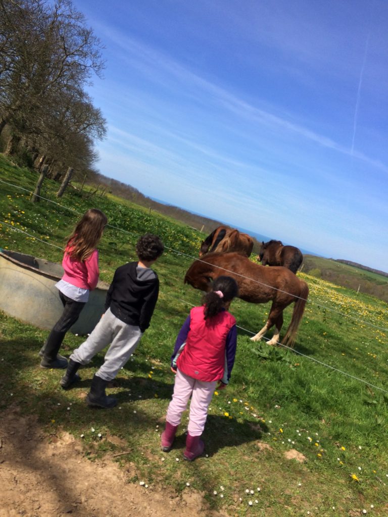 École d’équitation | Domaine Équestre Étretat